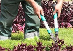 Electronic Technician Image